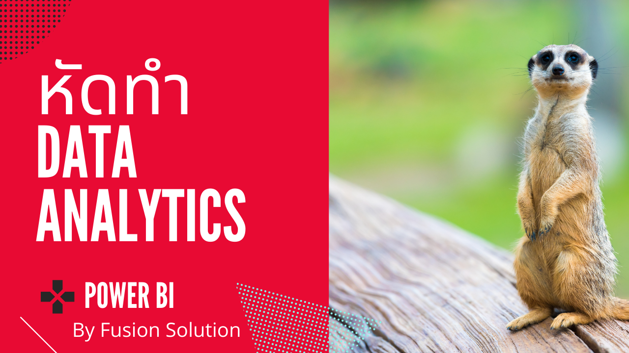 หัดทำ Data Analytic